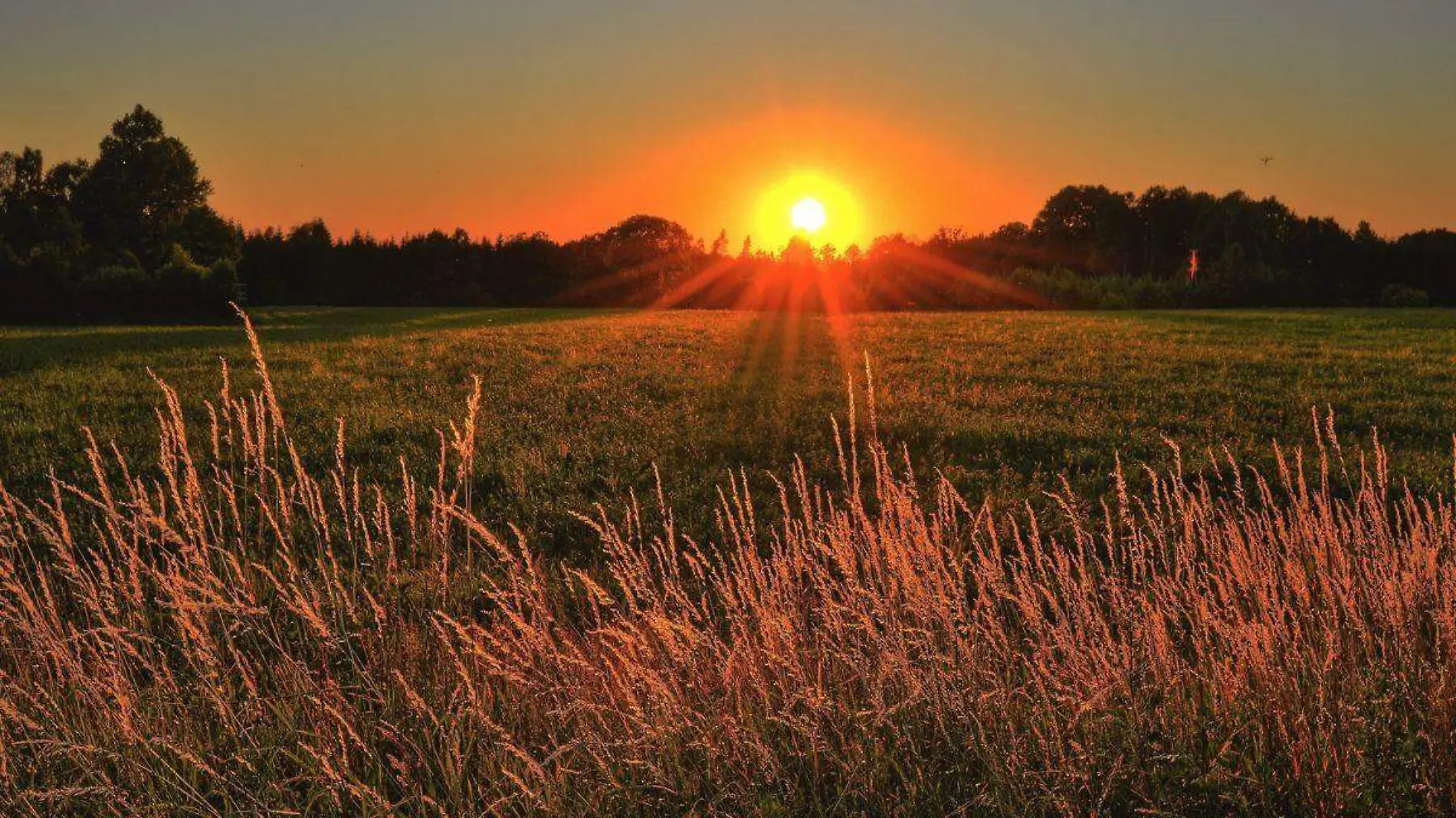 Si el Sol tiene los días contados, ¿qué pasaría con el planeta Tierra